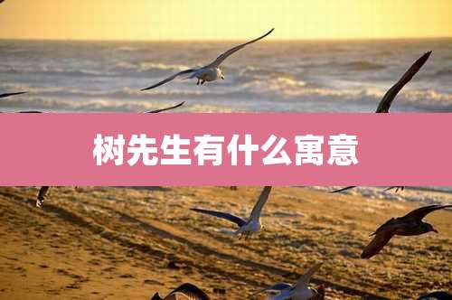 树先生有什么寓意