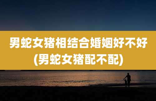 男蛇女猪相结合婚姻好不好(男蛇女猪配不配)