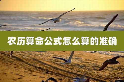 农历算命公式怎么算的准确