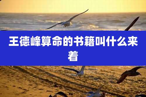 王德峰算命的书籍叫什么来着