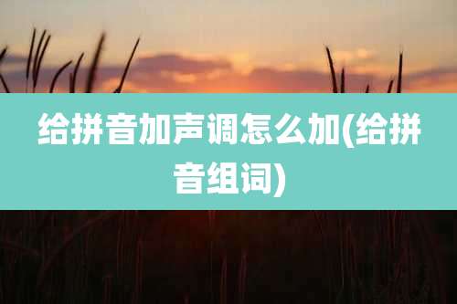 给拼音加声调怎么加(给拼音组词)