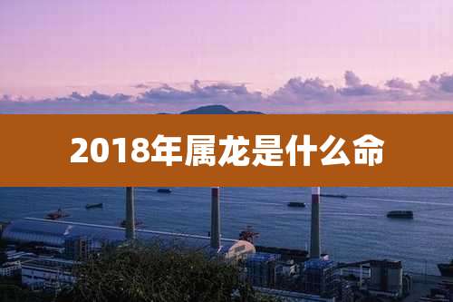 2018年属龙是什么命