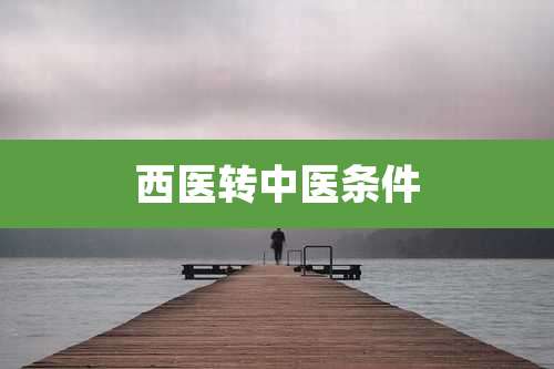 西医转中医条件
