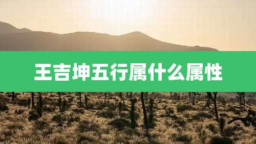 王吉坤五行属什么属性