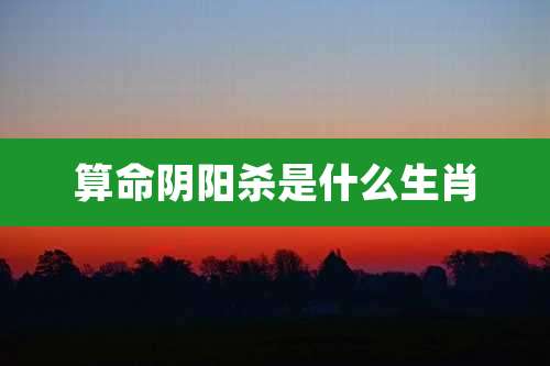 算命阴阳杀是什么生肖