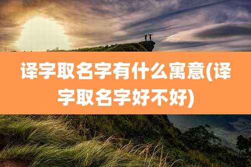译字取名字有什么寓意(译字取名字好不好)