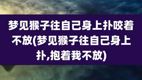梦见猴子往自己身上扑咬着不放(梦见猴子往自己身上扑,抱着我不放)