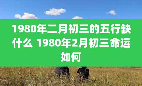 1980年二月初三的五行缺什么 1980年2月初三命运如何