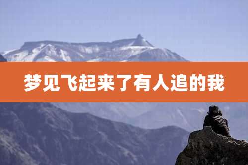 梦见飞起来了有人追的我