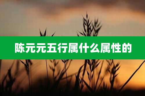 陈元元五行属什么属性的