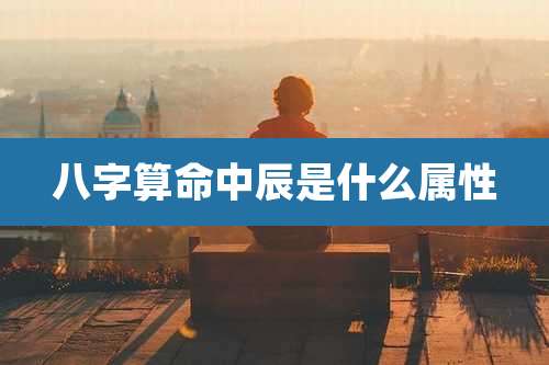 八字算命中辰是什么属性