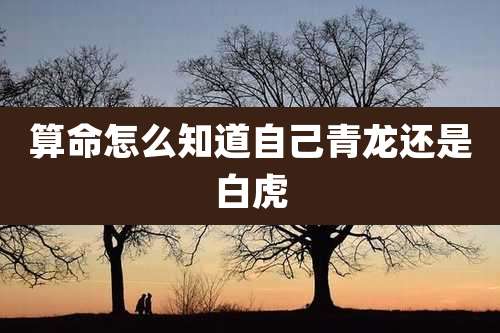 算命怎么知道自己青龙还是白虎