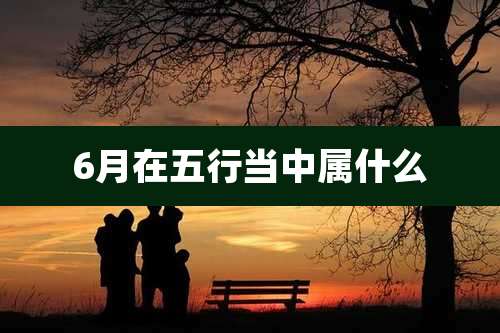 6月在五行当中属什么