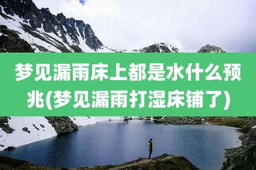 梦见漏雨床上都是水什么预兆(梦见漏雨打湿床铺了)