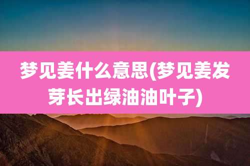 梦见姜什么意思(梦见姜发芽长出绿油油叶子)