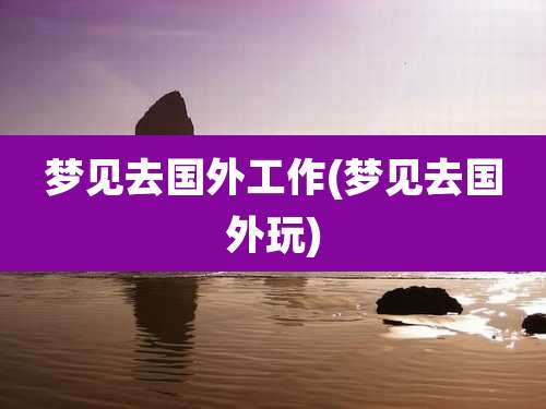 梦见去国外工作(梦见去国外玩)