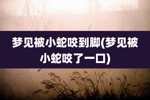 梦见被小蛇咬到脚(梦见被小蛇咬了一口)