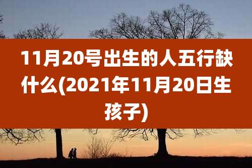 11月20号出生的人五行缺什么(2021年11月20日生孩子)