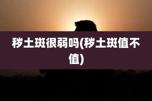 秽土斑很弱吗(秽土斑值不值)