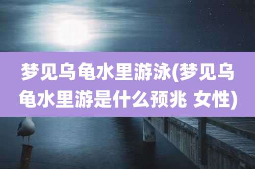 梦见乌龟水里游泳(梦见乌龟水里游是什么预兆 女性)