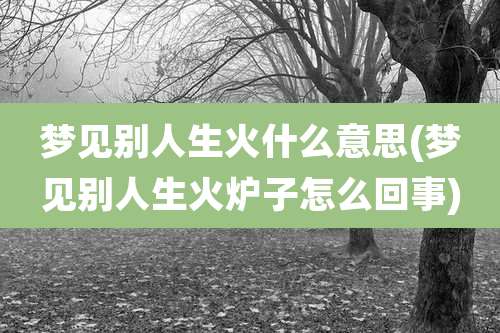 梦见别人生火什么意思(梦见别人生火炉子怎么回事)