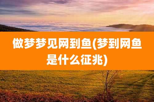 做梦梦见网到鱼(梦到网鱼是什么征兆)
