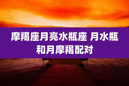 摩羯座月亮水瓶座 月水瓶和月摩羯配对