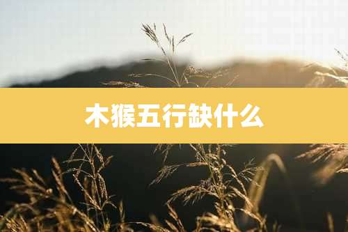 木猴五行缺什么