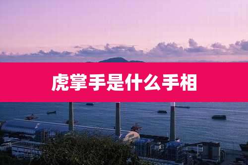 虎掌手是什么手相