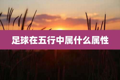 足球在五行中属什么属性