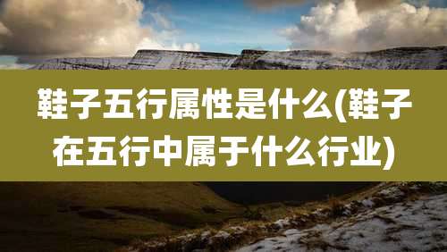 鞋子五行属性是什么(鞋子在五行中属于什么行业)