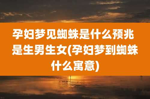 孕妇梦见蜘蛛是什么预兆 是生男生女(孕妇梦到蜘蛛什么寓意)