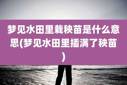 梦见水田里栽秧苗是什么意思(梦见水田里插满了秧苗)