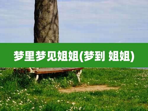 梦里梦见姐姐(梦到 姐姐)