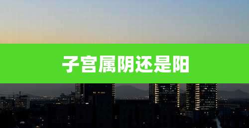 子宫属阴还是阳