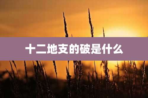 十二地支的破是什么
