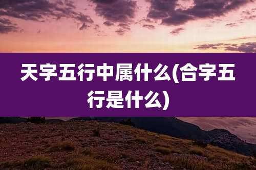 天字五行中属什么(合字五行是什么)