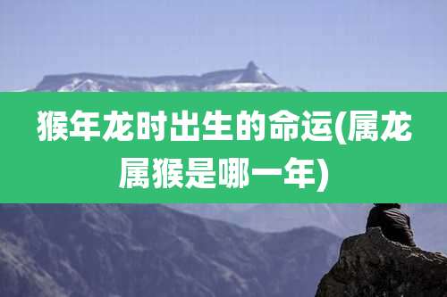 猴年龙时出生的命运(属龙属猴是哪一年)