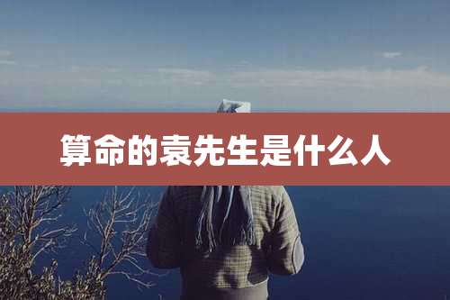 算命的袁先生是什么人