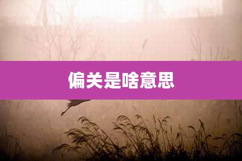 偏关是啥意思