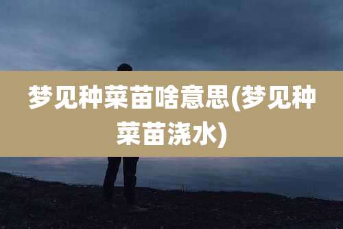 梦见种菜苗啥意思(梦见种菜苗浇水)