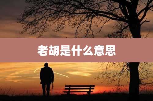 老胡是什么意思