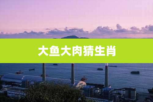 大鱼大肉猜生肖