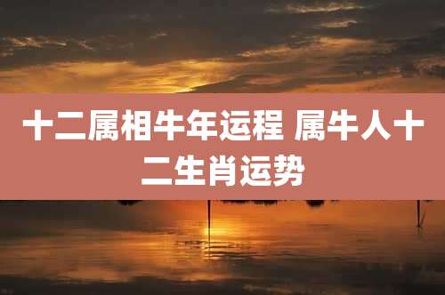十二属相牛年运程 属牛人十二生肖运势