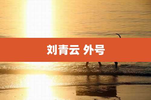 刘青云 外号