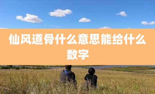 仙风道骨什么意思能给什么数字