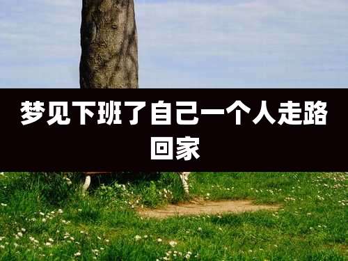 梦见下班了自己一个人走路回家