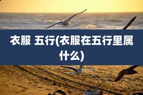 衣服 五行(衣服在五行里属什么)