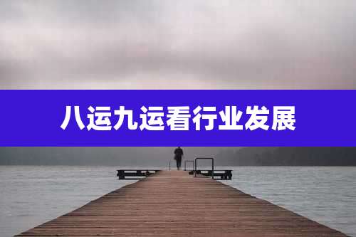 八运九运看行业发展