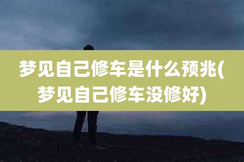 梦见自己修车是什么预兆(梦见自己修车没修好)